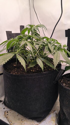 Growreport Bild 24