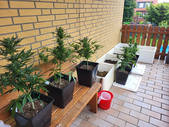 Growreport Bild 8