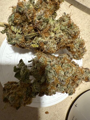 Growreport Bild 1