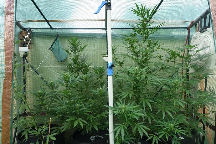 Growreport Bild 24