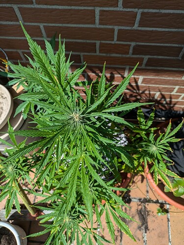 PXL_20240710_135008817