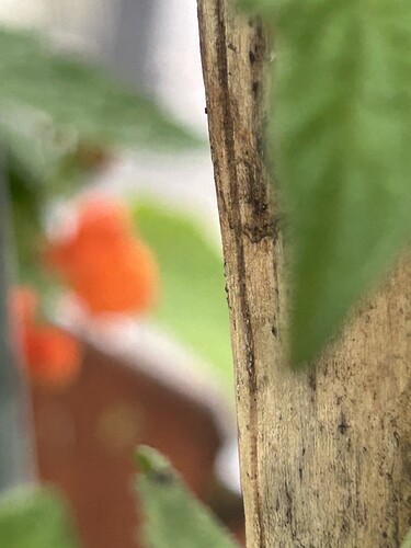 Growreport Bild 10