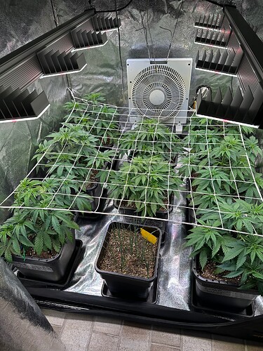 Growreport Bild 10