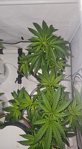 Growreport Bild 10