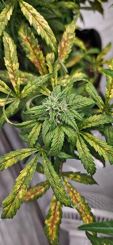 Growreport Bild 21