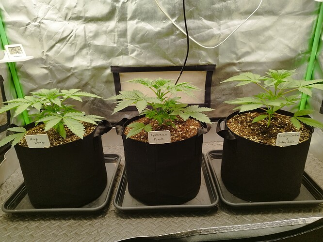 Growreport Bild 11