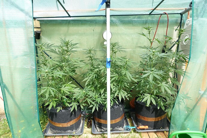 Growreport Bild 10