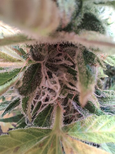 Growreport Bild 20