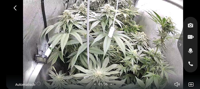 Growreport Bild 17