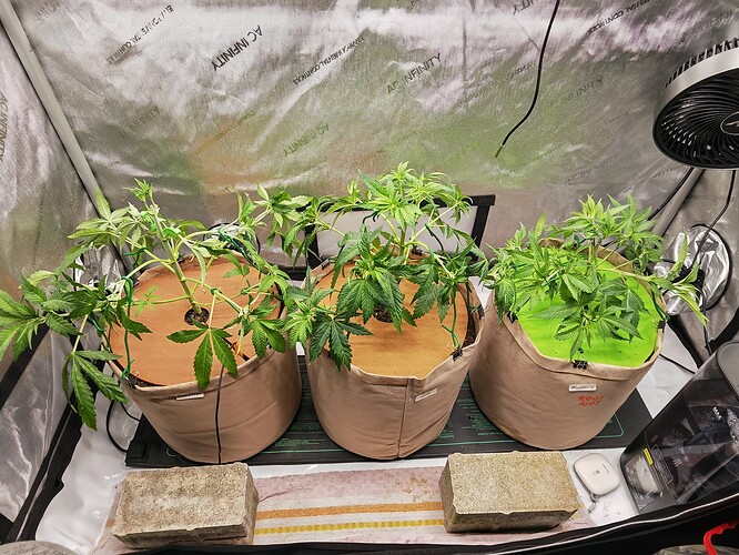 Growreport Bild 24