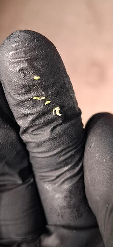 Growreport Bild 5