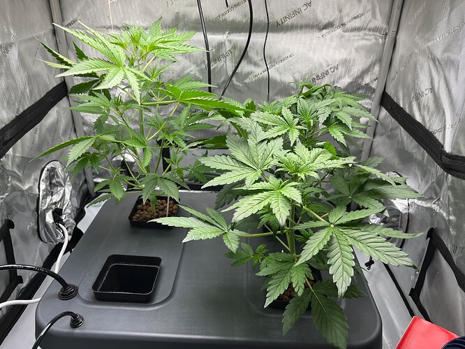 Growreport Bild 6