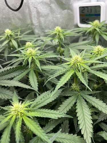 Growreport Bild 18