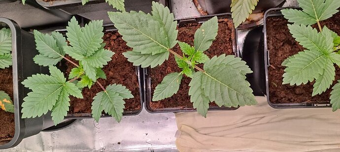 photo_2026-04-17_22-23-15