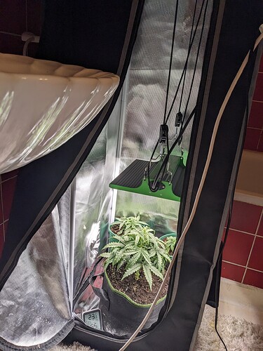 PXL_20240515_013542882