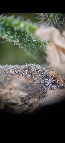 Screenshot_20240625_212749_Gallery