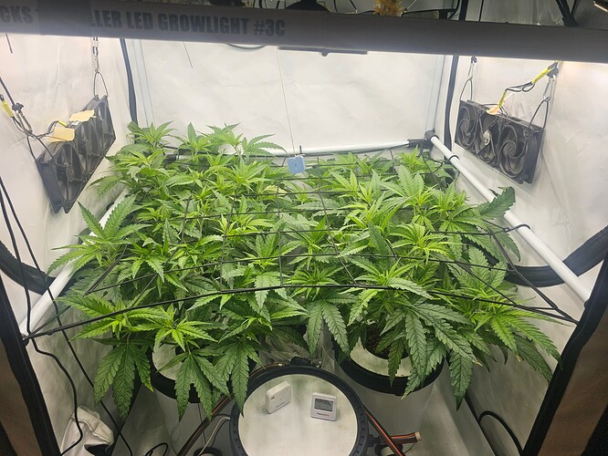 Growreport Bild 3