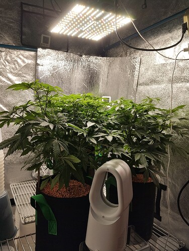 Growreport Bild 10