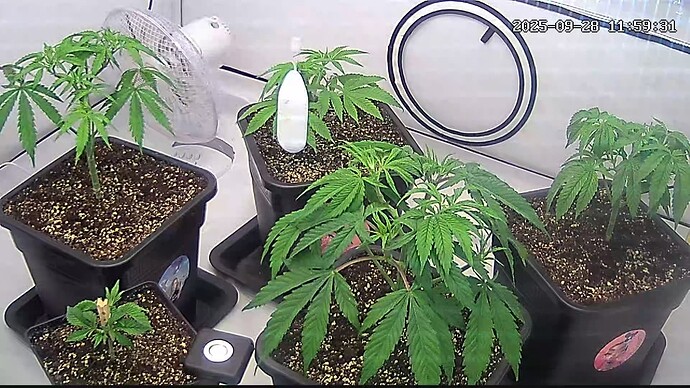 Growreport Bild 22