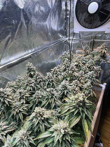 Growreport Bild 3