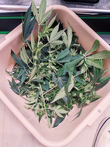 Growreport Bild 25