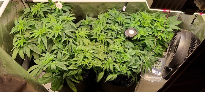 Growreport Bild 14