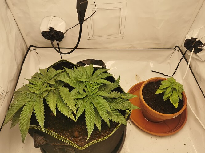 Growreport Bild 26