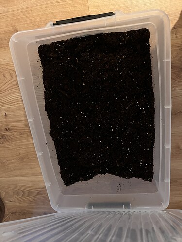 Growreport Bild 4