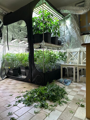 Growreport Bild 51