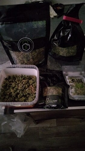 Growreport Bild 14