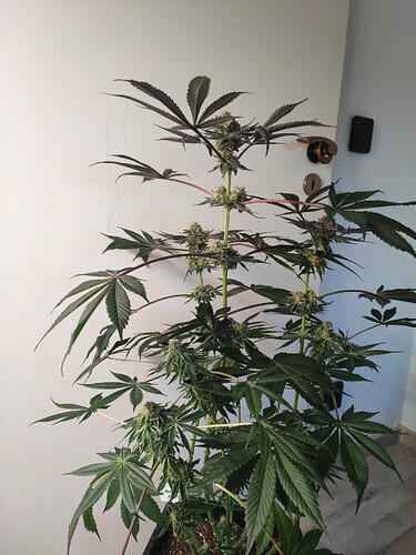 Growreport Bild 22