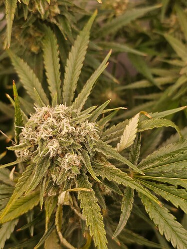 Growreport Bild 30