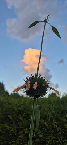Growreport Bild 20