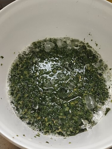 Growreport Bild 3