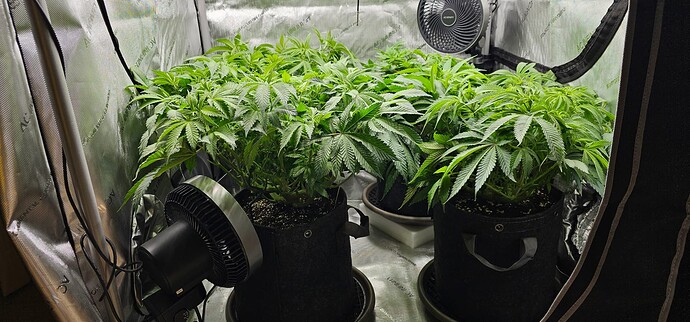 Growreport Bild 9