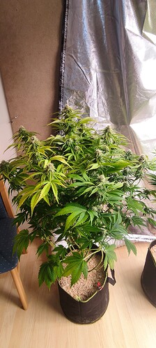 Growreport Bild 14