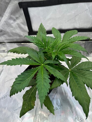 Growreport Bild 28