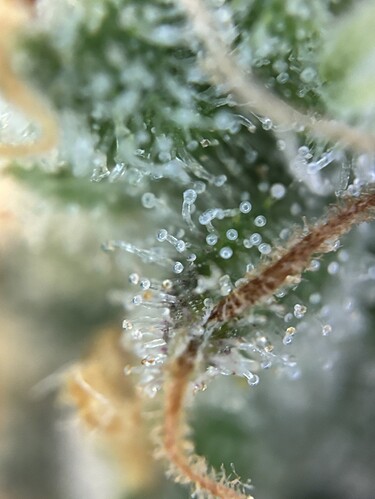 Growreport Bild 13