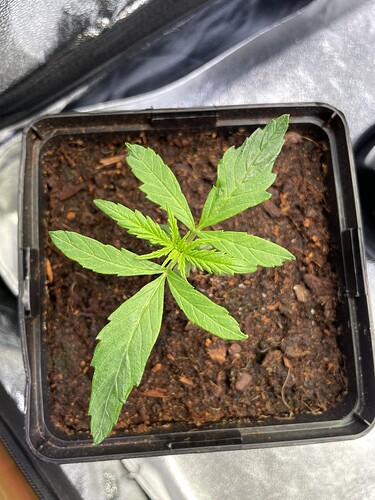 Growreport Bild 12
