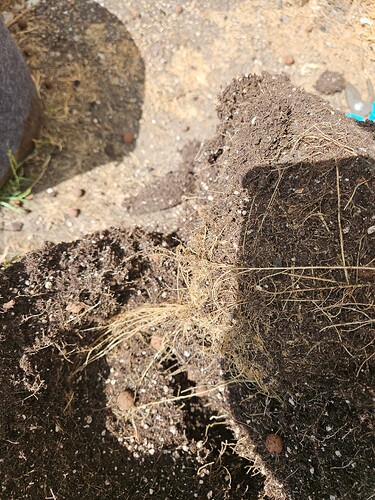 Growreport Bild 12