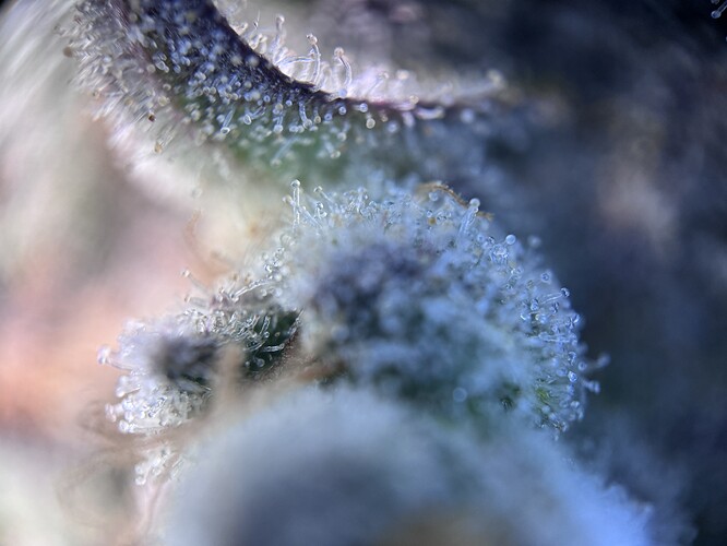 Growreport Bild 20