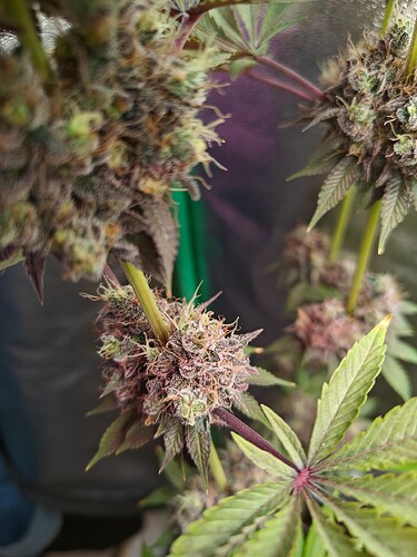 Growreport Bild 18