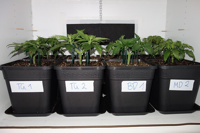 Growreport Bild 10