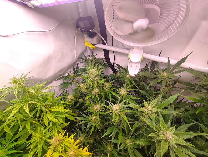Growreport Bild 4