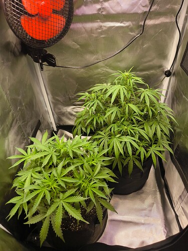 Growreport Bild 15