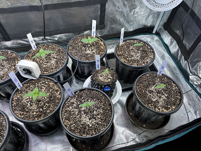 Growreport Bild 16