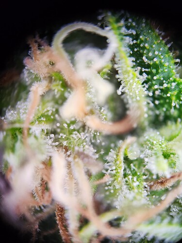 Growreport Bild 21
