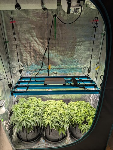 Growreport Bild 5