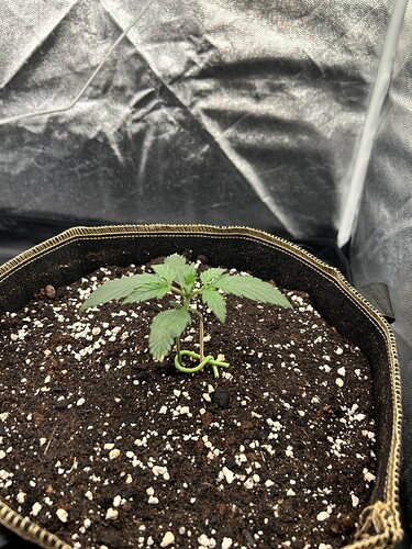 Growreport Bild 1