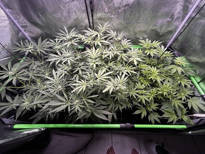 Growreport Bild 47